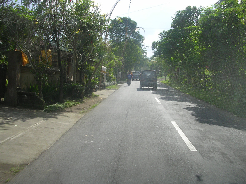 DSCN5301