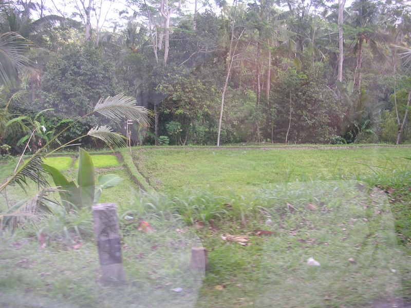 DSCN5302