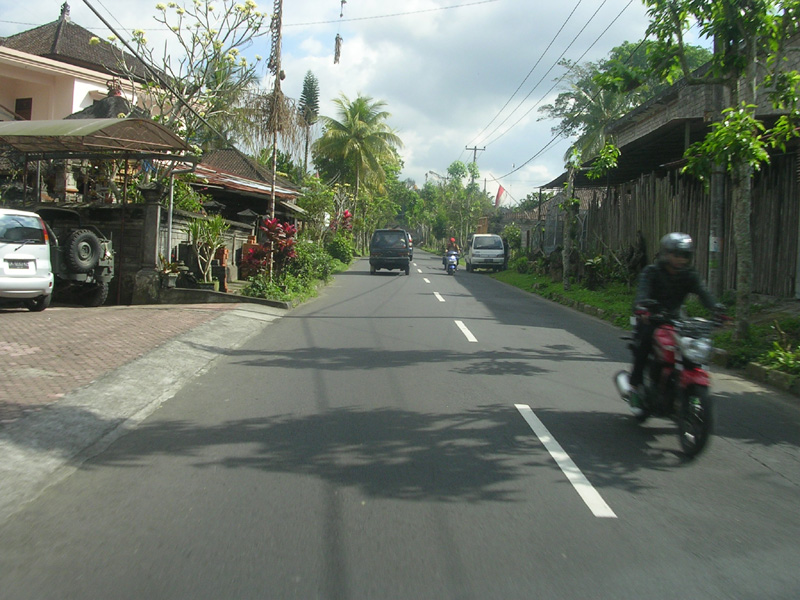 DSCN5306