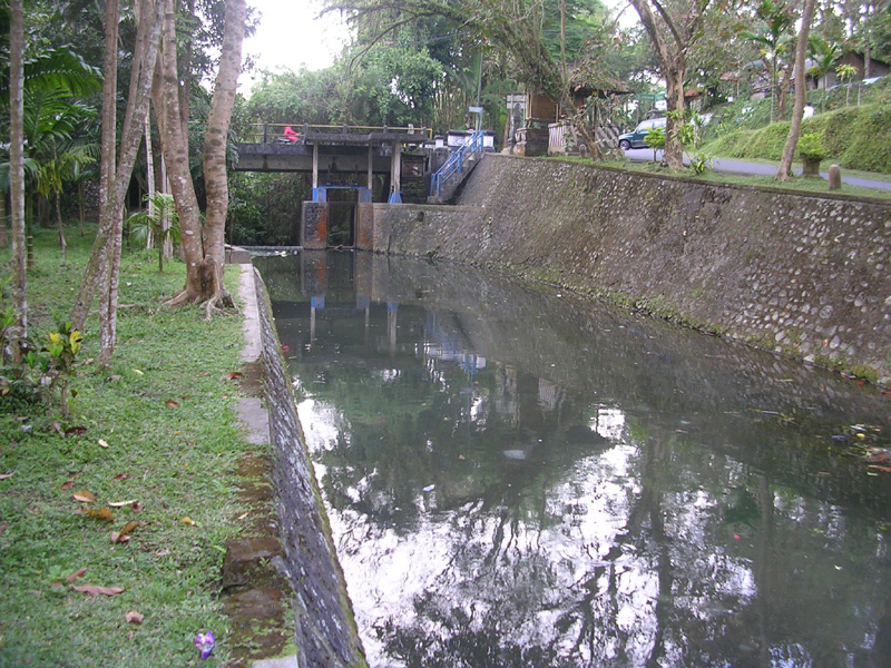 DSCN5310