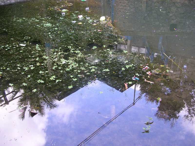DSCN5312