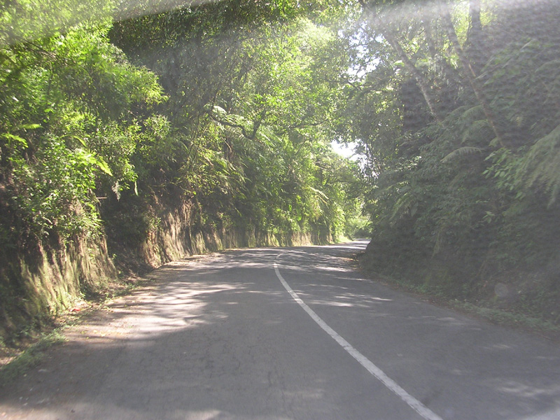 DSCN5344