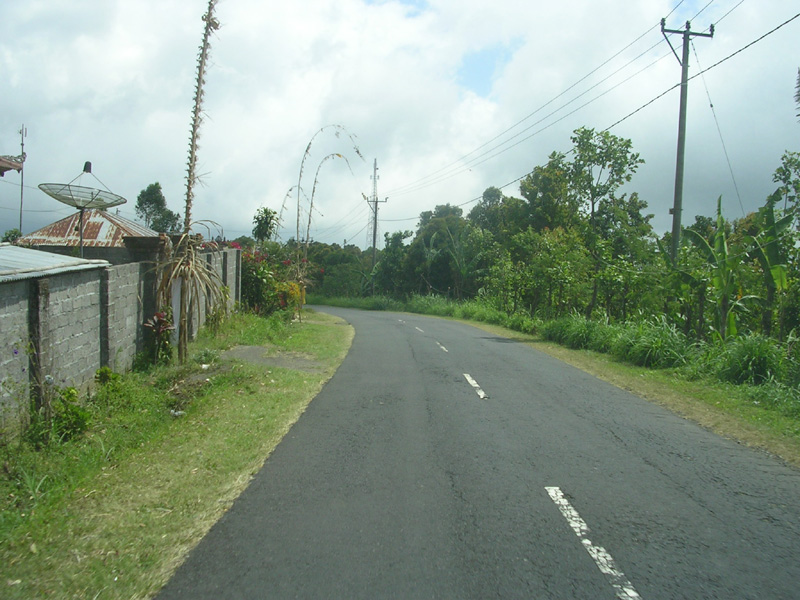 DSCN5353