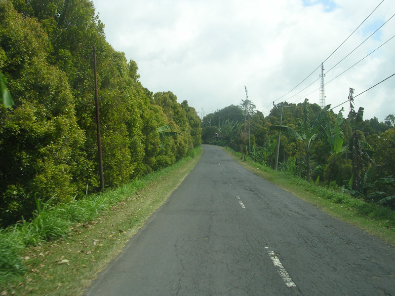 DSCN5354
