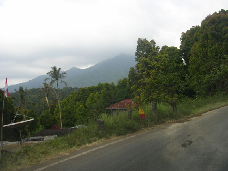 DSCN5366
