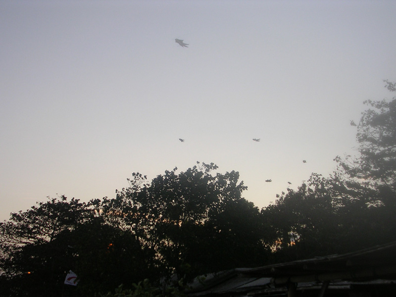 DSCN5402