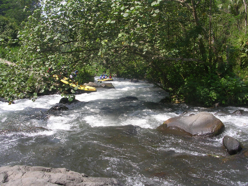 DSCN5449