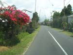 DSCN5352