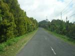 DSCN5354