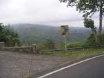 DSCN5382