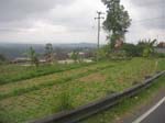 DSCN5385
