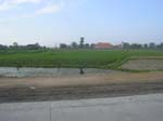 DSCN5391